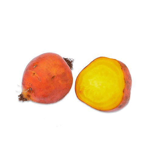 Yellow Beetroot - Holland Packet 700g - 900g