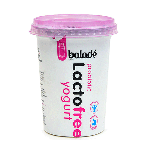 BALADE LACTOFREE YOGURT 450GM