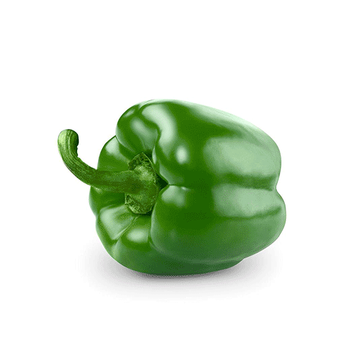 Green Bell Pepper - Kuwait