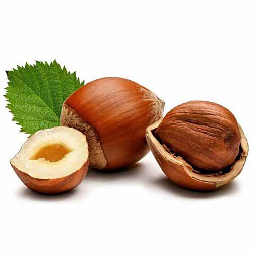 Hazelnut White Roasted