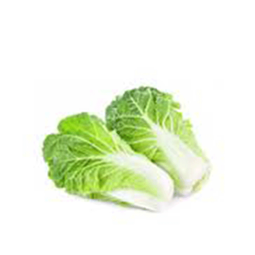 Dutch Chinese cabbage pcs - 1400:1600 kg