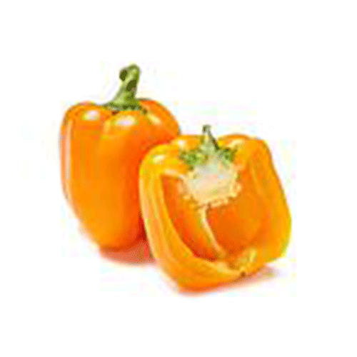 Orange Bell Pepper - Netherlands - Dish 500 gm