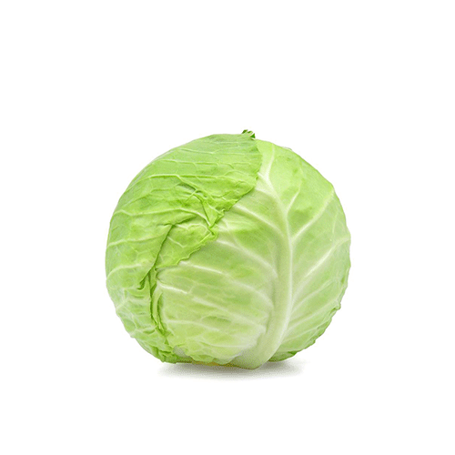 White Cabbage - Jordan - PCS 1 : 2 kg