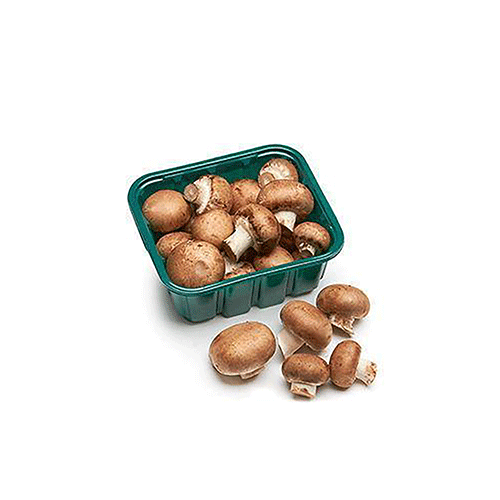 Brown Mushroom - Oman - PKT