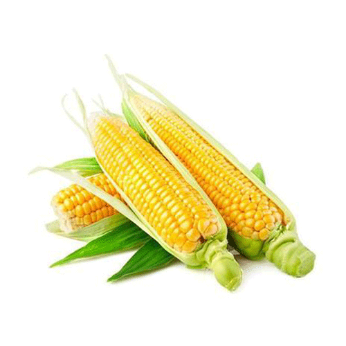 Corn - Kuwait - 3 kg box