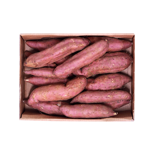 Sweet potato - Egypt - 2.5kg box