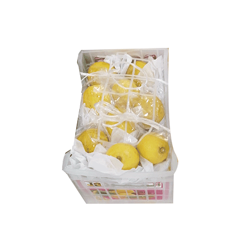 Lemon - South Africa - Basket 2 kg