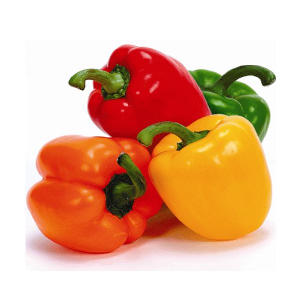 Mix Bell Pepper Plate 400 GM