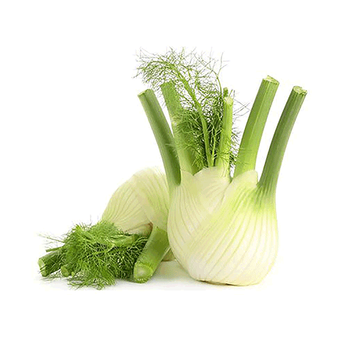 Green Fennel - Netherlands (200-300g) PCS