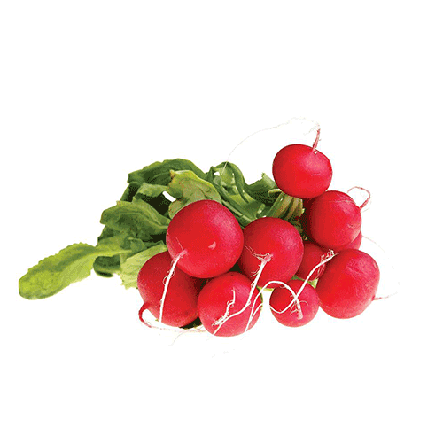 Red Radish - Netherland- 125g Bag