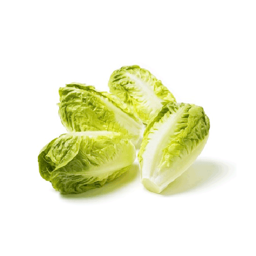 Baby Lettuce gem- Spain - Packet 300 - 500g