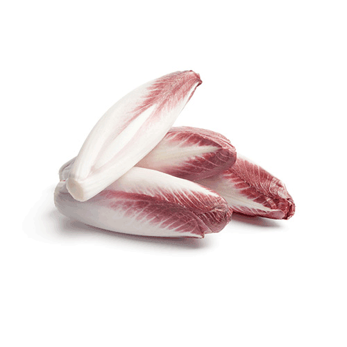 Red endive lettuce -plate-  500g - Netherlands