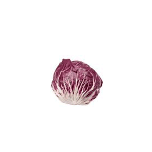 Red epicio lettuce -plate-  500 - 600g - Netherlands