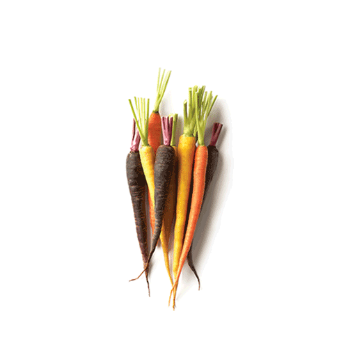 Yukon-Rainbow Carrots- South Africa 200g