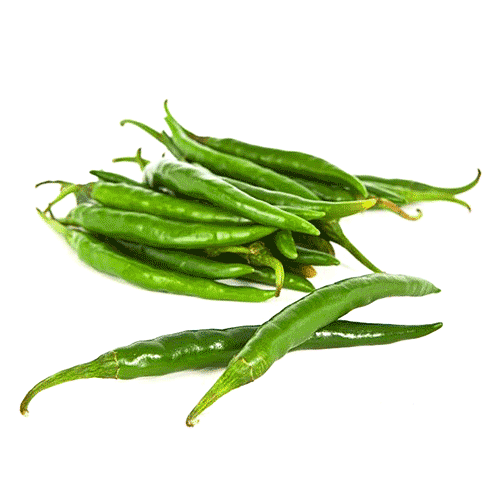 Chili Pepper - Indian