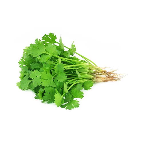 Coriander - Kuwait